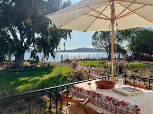 Paralia Kallonis Maison | Little House on the Sea