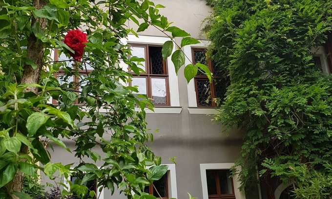 Nikolaivorstadt Appartement | Live like a king in historic walls
