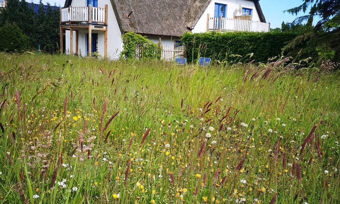 Lancken-Granitz Appartement | Apartments at the hunting lodge 6