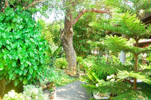 Polonnaruwa Maison | Livinginn Polonnaruwa
