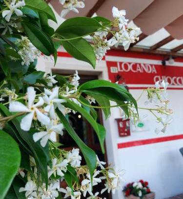 Quero Vas Maison | Locanda Chiocciola