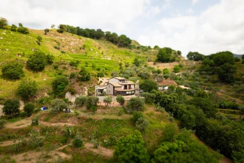 Mammola Hôtel | Locanda degli Ulivi