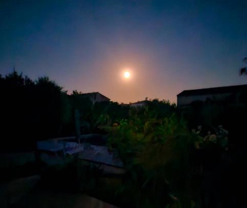 Saint-Cyr-sur-Mer Appartement | location impossible