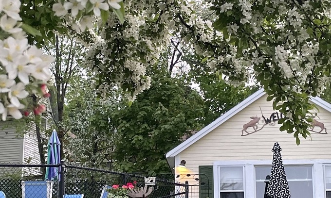 Weirs Beach Cabine | Location, Location, Location! Weirs Beach