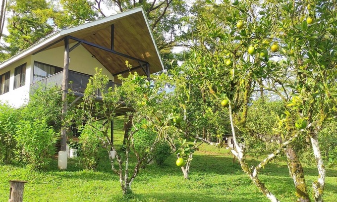 Parrita Maison | Lodge with Private 40ha Jungle Reserve