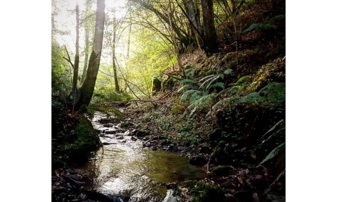 Rimont Maison | Lodging between forest and streams