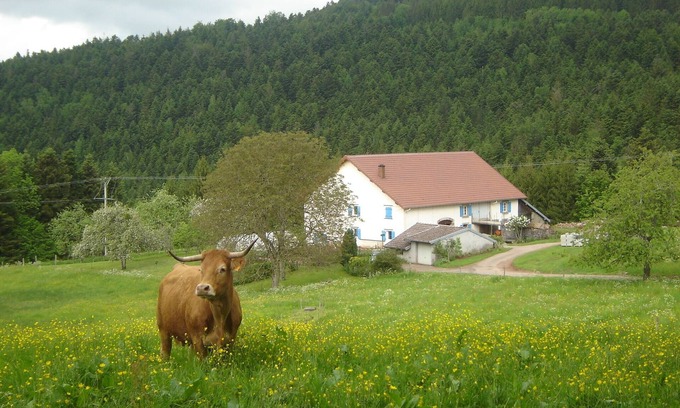 Girmont-Val-d'Ajol Cottage | Hébergement en pleine nature entre forêts et prairies