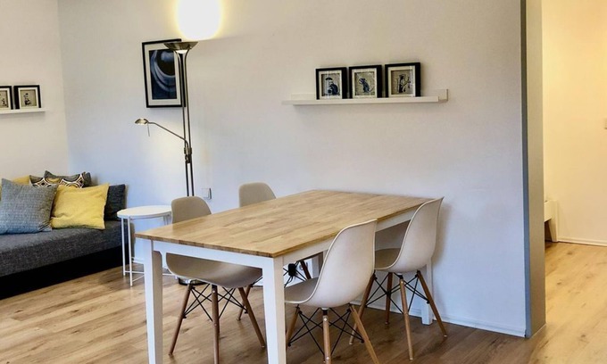 Mainz-Bingen Appartement | Loft 1 - 45 sqm/apartment, shower, WC - Oppenheim Lofts