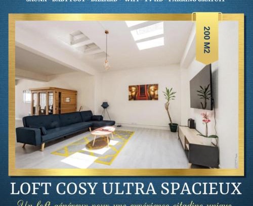 Graulhet Appartement | LOFT COSY - HYPERCENTRE - SAUNA - 200m2 - WIFI