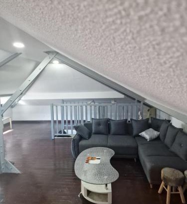 Dasle Appartement | Loft Eiffel F2