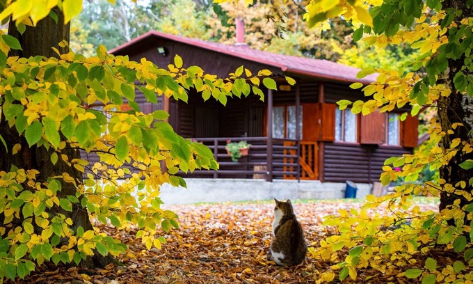 Zeliv Cabine | Log Cabin 1, Couchages 2 + 1, Superbes vues, Animaux acceptés, Lac, Vue sur la forêt, Lit double