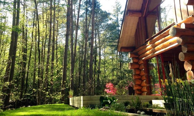 Plesse Chalet De Ski | Chalet en fustes (rondins bruts) au milieu des arbres et spa