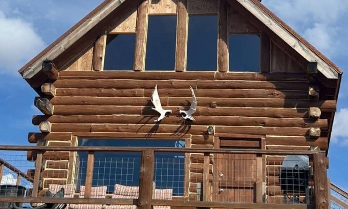 Collbran Cabine | Log cabin with views , Vega Reservoir, Collbran Colorado cabin
