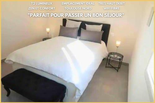 Lalande-Grand Selve Appartement | Logement Entier - Appartement T2 Confort - Toulouse - Balcon Aménagé