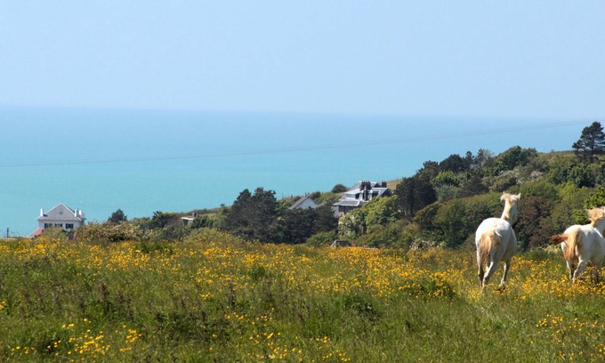 Dieppe Maison | LOGT 5 PERSONNES VUE SUR MER. PONEY ET TRAMPOLINE. SITUE LE LONG D'UN GR. NATURE