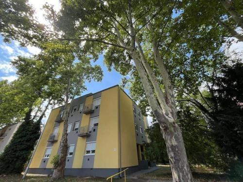 Papa Appartement | Lombkorona apartman