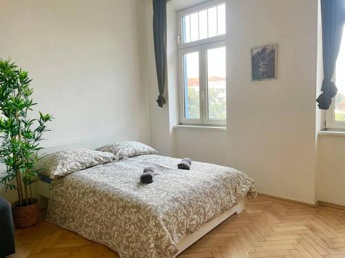 Dobling Appartement | Long Stays - Cozy - Studio
