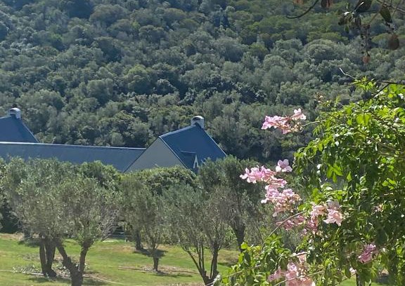 Still Bay Appartement | Long Thin Farm