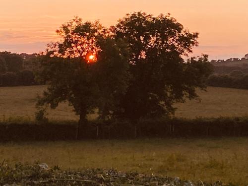 Downpatrick Maison | Long View Guest Accommodation