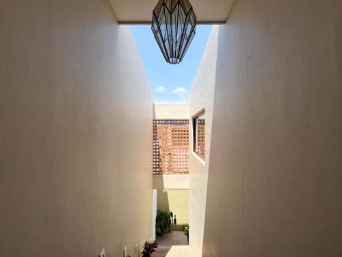 Lo de Marcos Appartement | Los Gallos - Suite superior