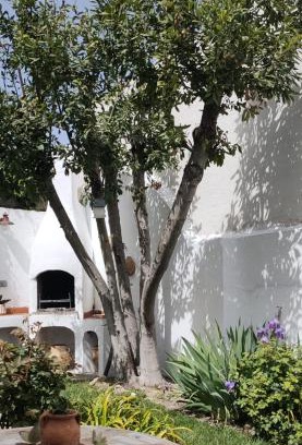 Buendia Maison | LOS SUEÑOS DE BUENDÍA