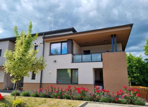 Odorheiu Secuiesc Appartement | Lotus Apartman III