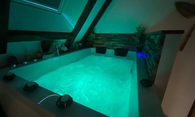 Bourges Appartement | Love Room with Jacuzzi in the city center