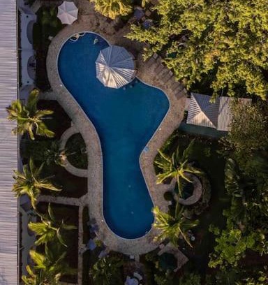Damas Appartement | Lovely Condo near monkey habitat and beach