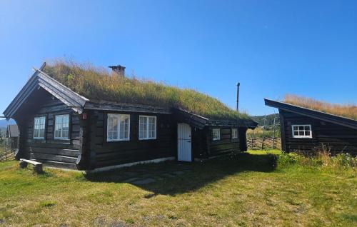 Vestre Slidre Maison | Lovely Home In Røn With House A Mountain View