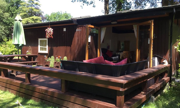 Cenarth Cabine | Charmant pavillon de pin sur un site de conservation des bois