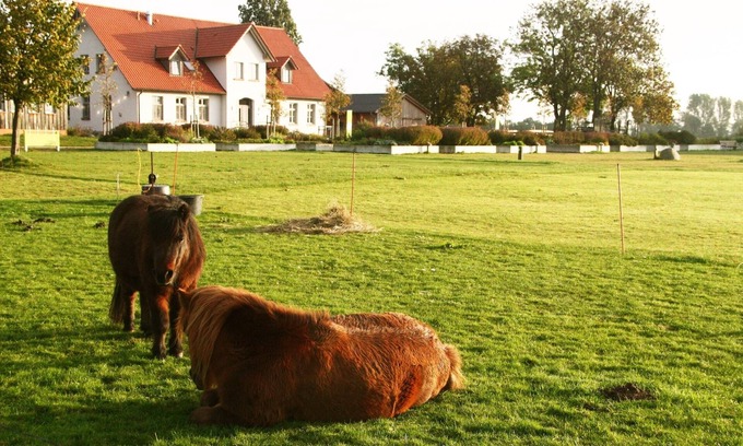 Stahlbrode Maison | Ferme rénovée avec amour sur éco-ferme - à seulement 1 km du ferry Rügen