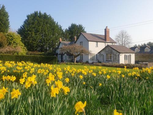Adforton Lit Et Petit-Déjeuner | Lower House B&B and Cottages, Adforton