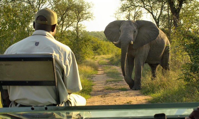 Buffelspruit Cabine | Lukimbi Safari Lodge