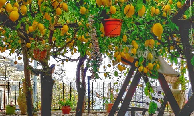 Minori Villa | Limoneto di Lulù, des vacances parmi les citrons!