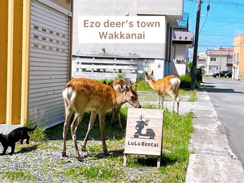 Wakkanai Maison | LuLu Stay