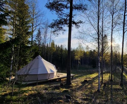 Grythyttan Autre | Luxe tent met uitzicht op het bos en met Sauna en hottub
