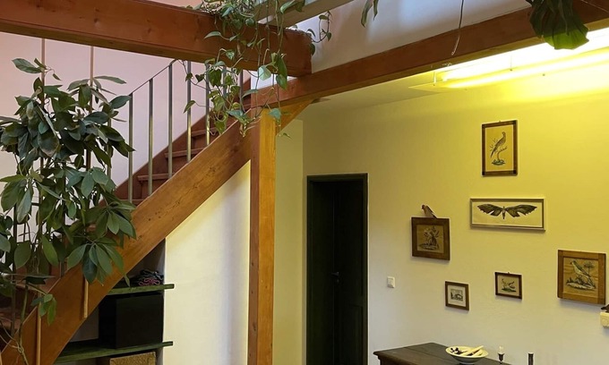 Wustrau-Altfriesack Maison | Luxurious country house with many extras in the Ruppiner Luch, up to 6 people