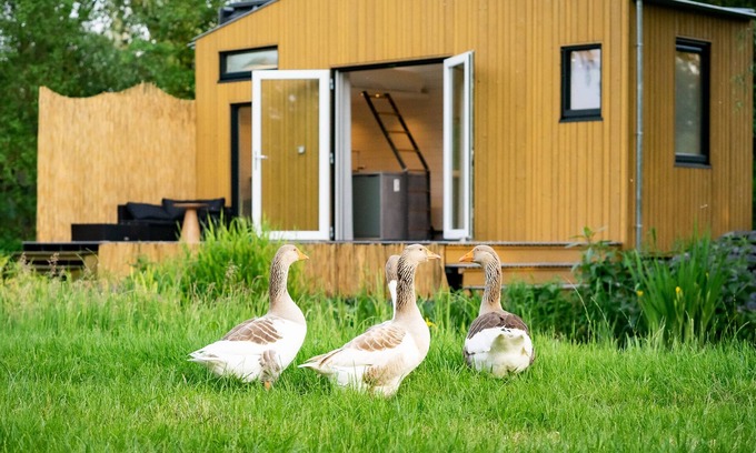 Oudesluis Maison | Luxurious Tiny House with terrace and great view (30min from Adam!)