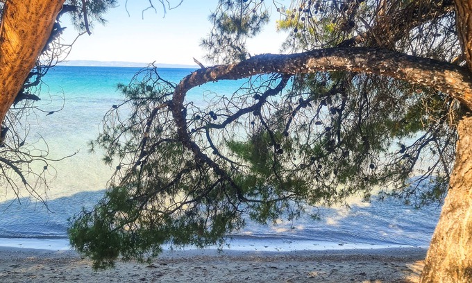 Elia Nikitis Appartement | Luxury Apartment in Akti Elias Sithonia