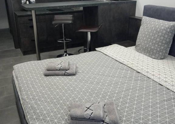Uzhhorod Appartement | Luxury Central Apartment