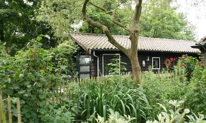 Schoorl Maison | Bungalow de luxe indépendant pour 2 personnes sur une route principale dans une zone boisée
