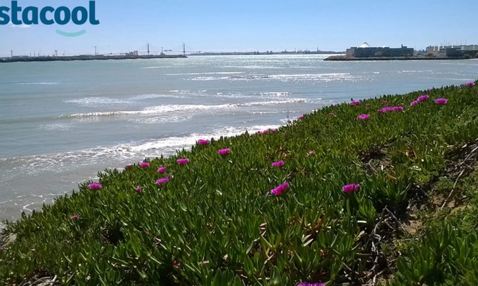 El Puerto de Santa Maria Villa | Tranquillité totale Dunes et plages à 50 m. Villa idéale pour les familles!