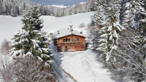 Scheffau am Wilden Kaiser Villa | Luxury old wood mountain chalet in a sunny secluded location with gym, sauna & whirlpool
