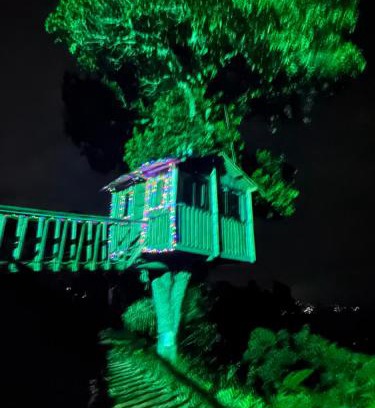 Titiribi Autre | Luxury tree house at La meseta