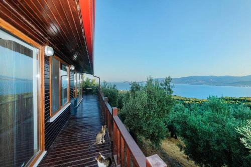 Bandirma Appartement | Luxury Wooden House İn The Heart Of Nature