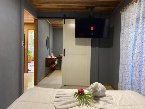 Santa Elena Appartement | MâpleTico Casita