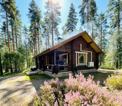 Tammela Maison | Mökki saunalla mäntymetsässä
