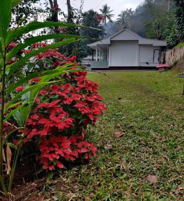 Kunchithanny Cabine | M3 Homes
