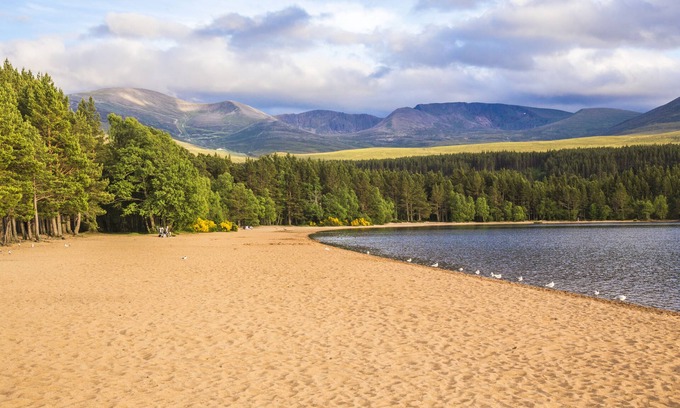 Aviemore Cabine | Macdonald Aviemore Woodland Lodges