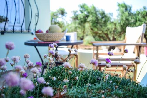 Polemarchi Appartement | MaGea- Asterias Ground floor peaceful apartment